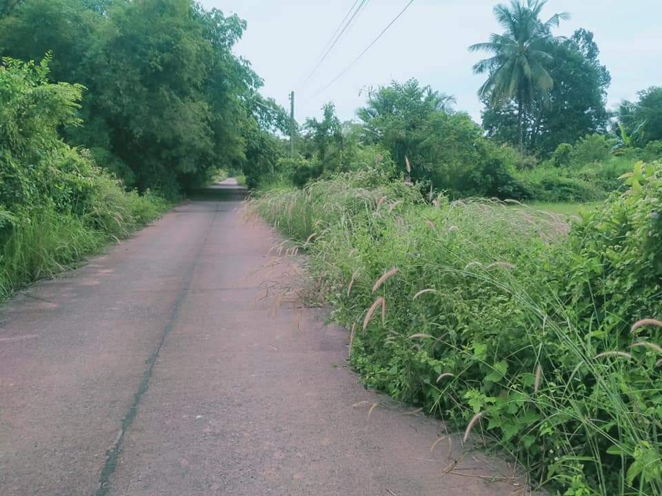 ที่ดินวิวเขา นครนายก 