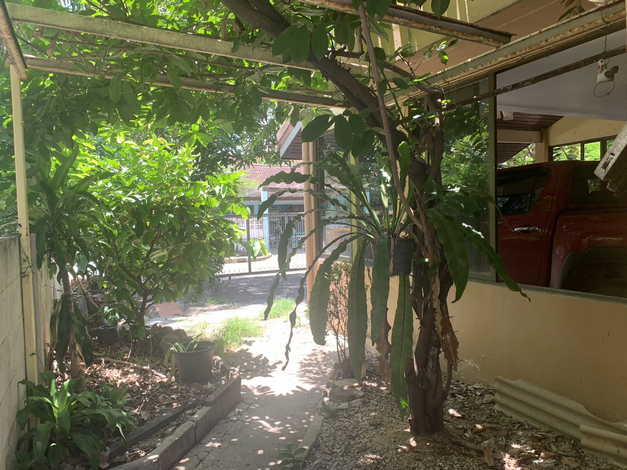 ขายบ้านเดี่ยว  2 ชั้น  หมู่บ้านสุดจิตนิเวศน์ พระรามสอง  ทำเลดี เดินทางสะดวก ร่มรื่นติดบิ๊กซี และใกล้เซนทรัลพระราม 2