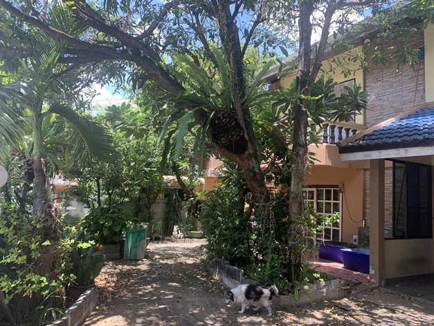 ขายบ้านเดี่ยว  2 ชั้น  หมู่บ้านสุดจิตนิเวศน์ พระรามสอง  ทำเลดี เดินทางสะดวก ร่มรื่นติดบิ๊กซี และใกล้เซนทรัลพระราม 2