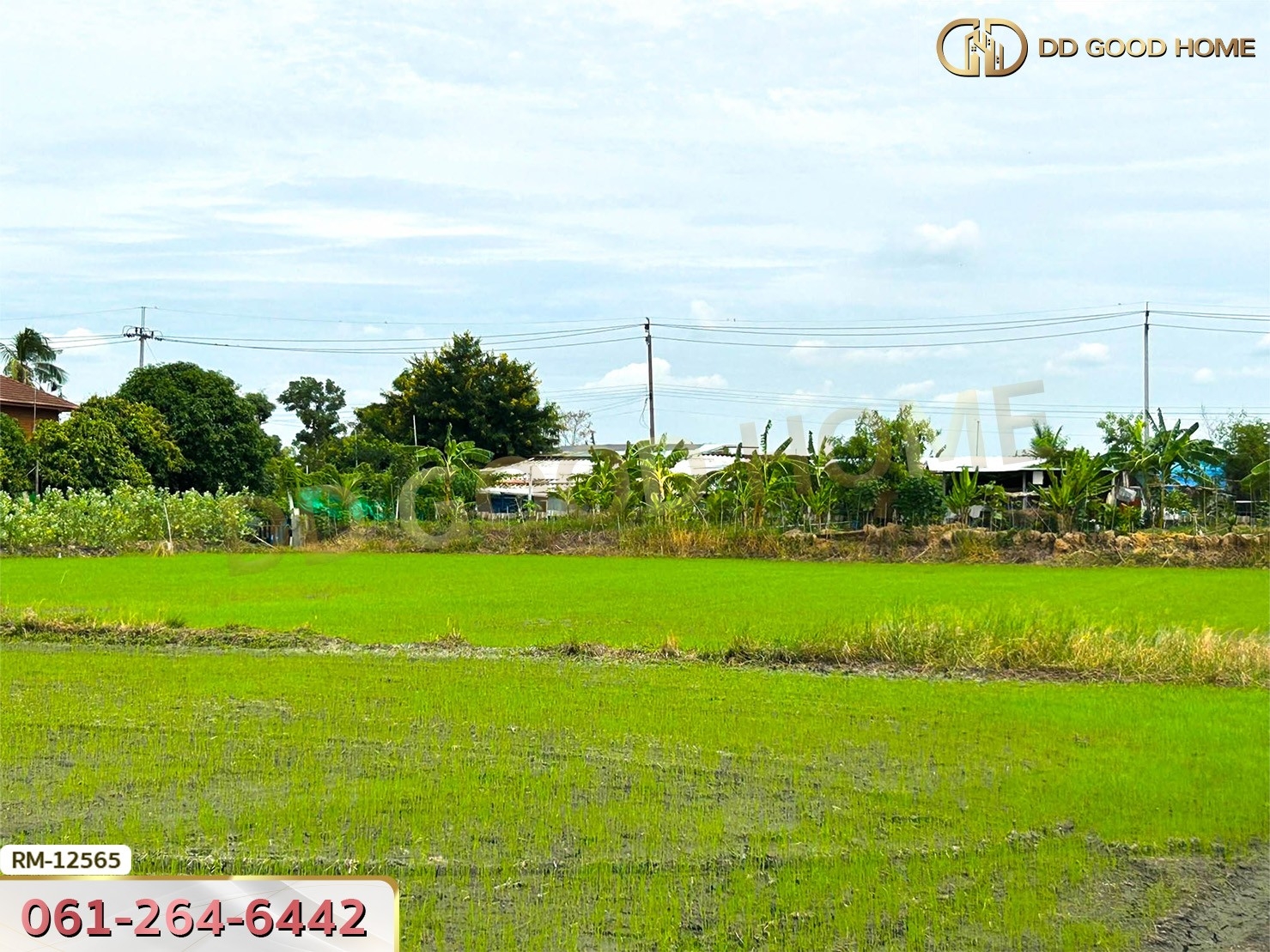 ที่ดินเปล่า 198.9 ตร.ว. ต.หนองเพรางาย อ.ไทรน้อย