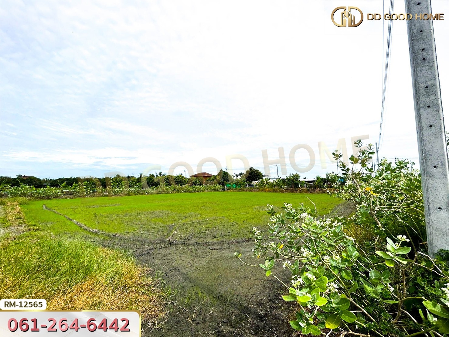 ที่ดินเปล่า 198.9 ตร.ว. ต.หนองเพรางาย อ.ไทรน้อย