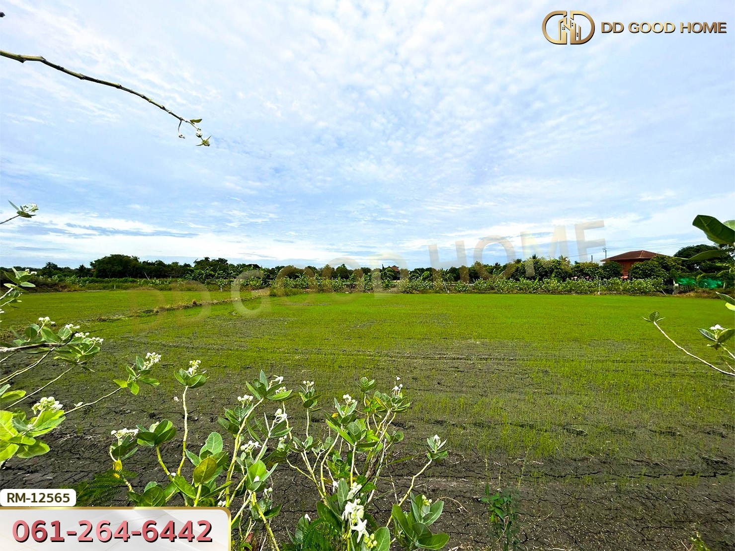 ที่ดินเปล่า 198.9 ตร.ว. ต.หนองเพรางาย อ.ไทรน้อย