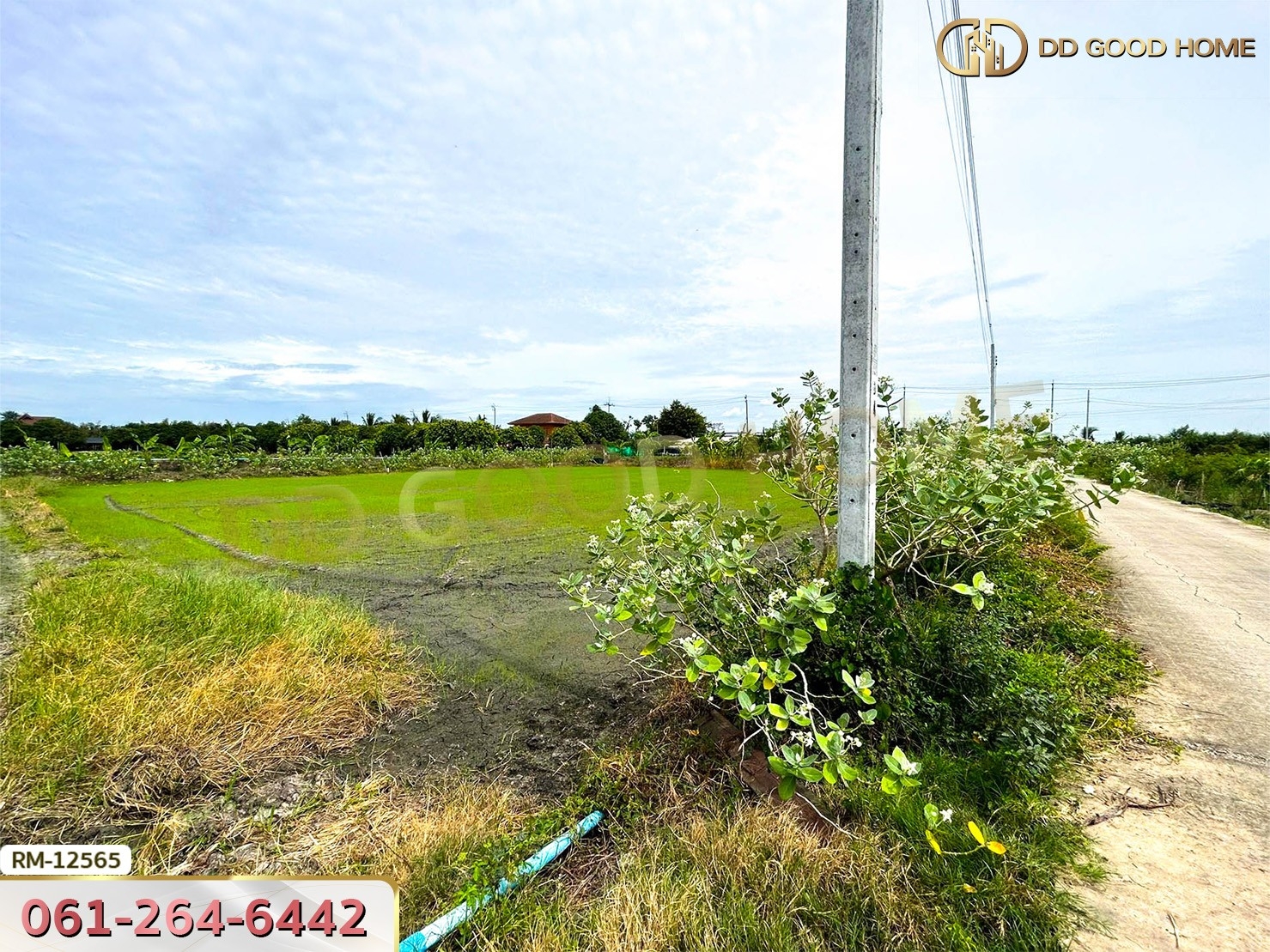 ที่ดินเปล่า 198.9 ตร.ว. ต.หนองเพรางาย อ.ไทรน้อย