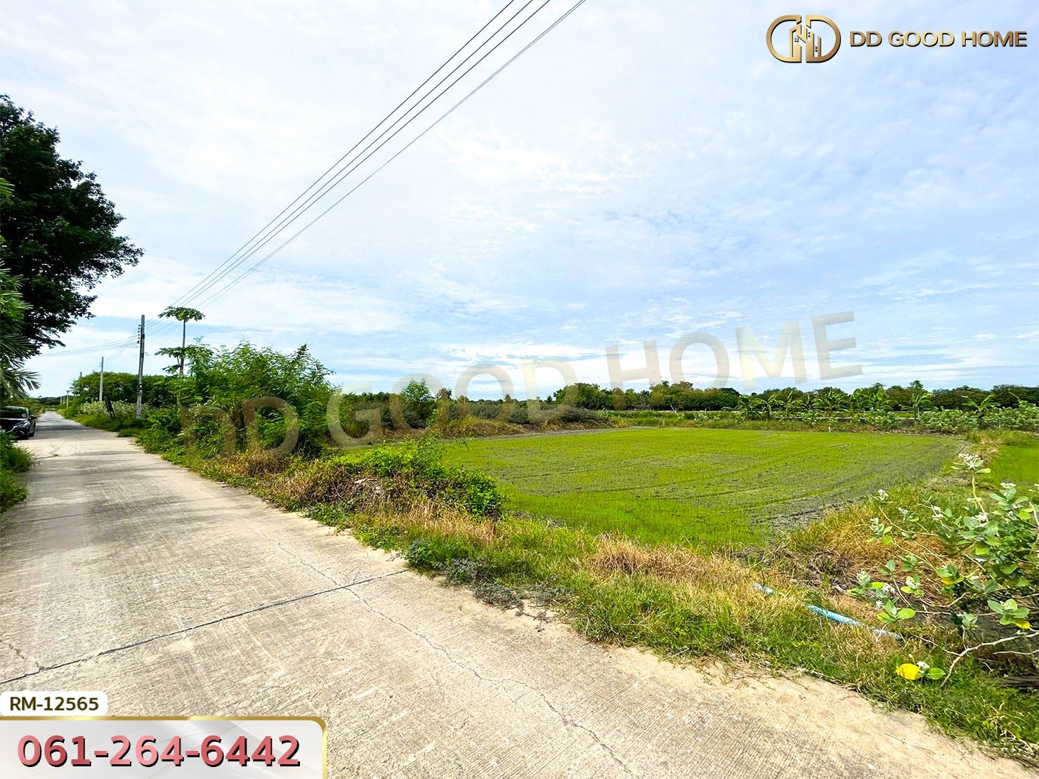 ที่ดินเปล่า 198.9 ตร.ว. ต.หนองเพรางาย อ.ไทรน้อย