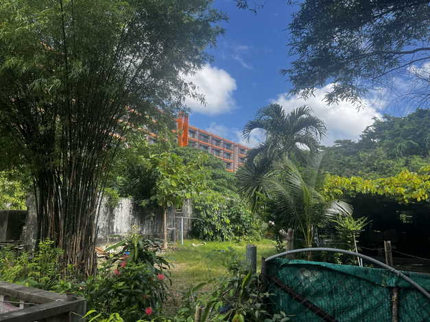 ขายที่ดิน 2 แปลงติดกัน ทำเลดี ตำบลไม้ขาว อำเภอถลาง จังหวัดภูเก็ต