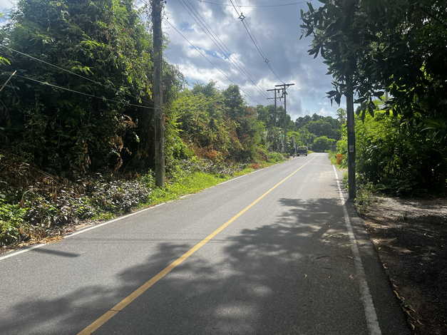 ขายที่ดิน 2 แปลงติดกัน ทำเลดี ตำบลไม้ขาว อำเภอถลาง จังหวัดภูเก็ต