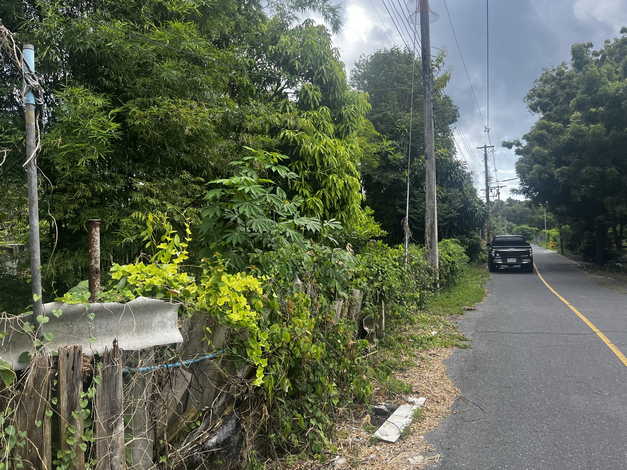 ขายที่ดิน 2 แปลงติดกัน ทำเลดี ตำบลไม้ขาว อำเภอถลาง จังหวัดภูเก็ต