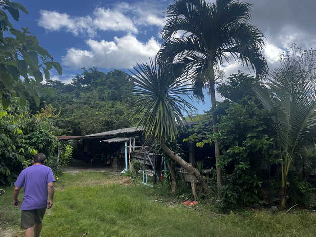 ขายที่ดิน 2 แปลงติดกัน ทำเลดี ตำบลไม้ขาว อำเภอถลาง จังหวัดภูเก็ต