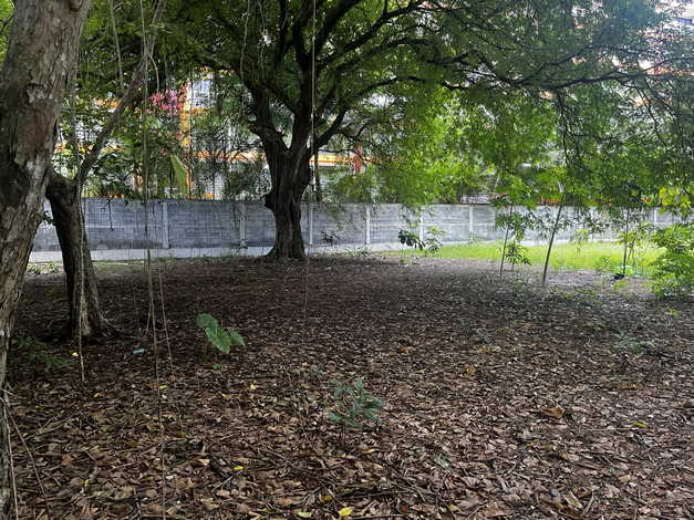 ขายที่ดิน 2 แปลงติดกัน ทำเลดี ตำบลไม้ขาว อำเภอถลาง จังหวัดภูเก็ต