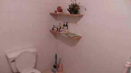 ขายคอนโดคอนโดเดอะทรีโอ การ์เด้นท์  สวยติดแนวสถานีรถไฟฟ้าสายสีเหลือง สถานีศรีนครินทร์ 38 (สถานีรถไฟฟ้าอยู่ปากซอยห่างเพียง 30 เมตร) 