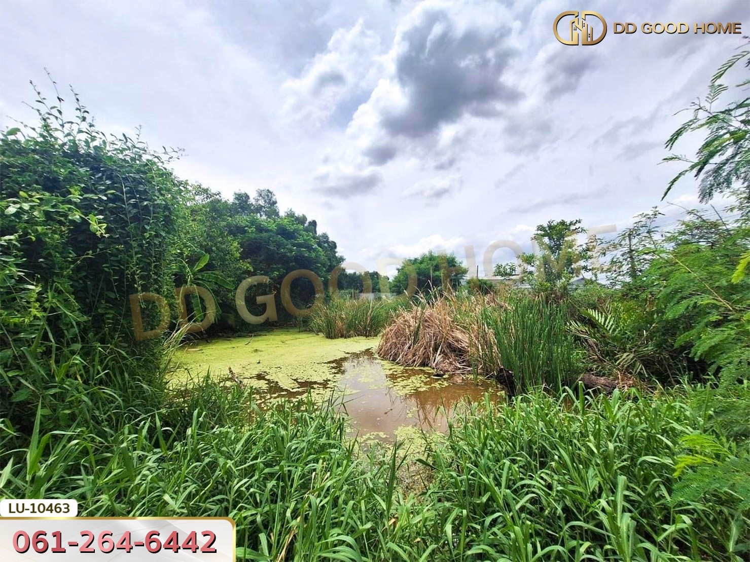 ที่ดินเปล่า 121 ตร.ว. ซอยร่วมมิตรพัฒนา แยก 6 บางเขน กรุงเทพ