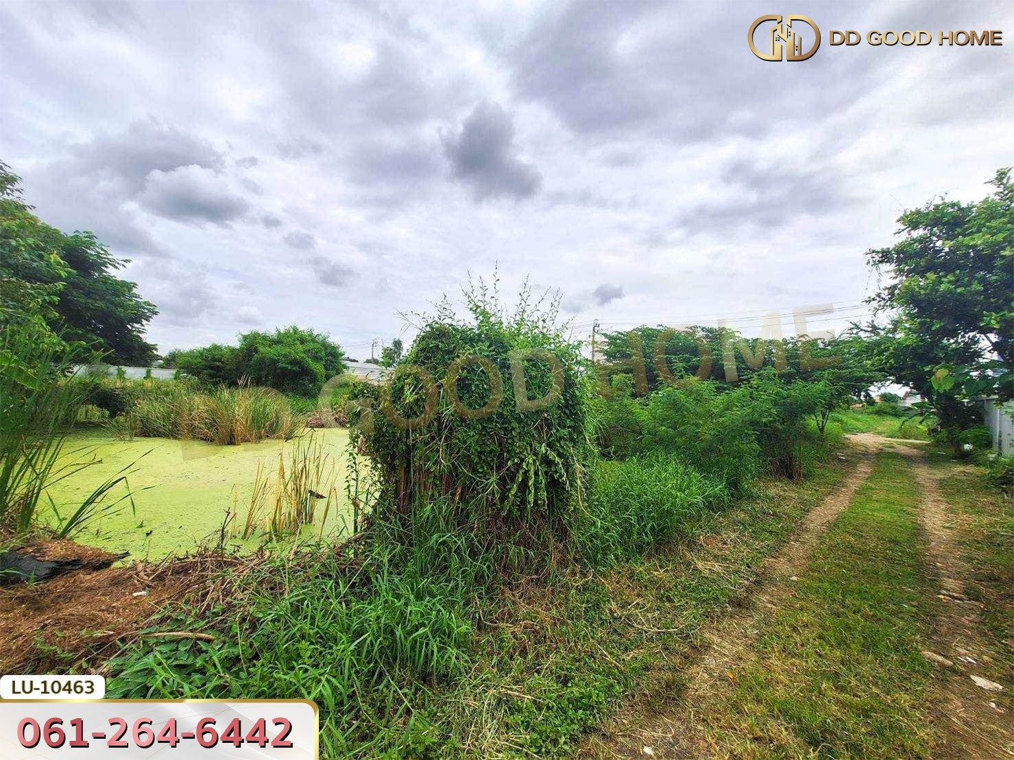 ที่ดินเปล่า 121 ตร.ว. ซอยร่วมมิตรพัฒนา แยก 6 บางเขน กรุงเทพ