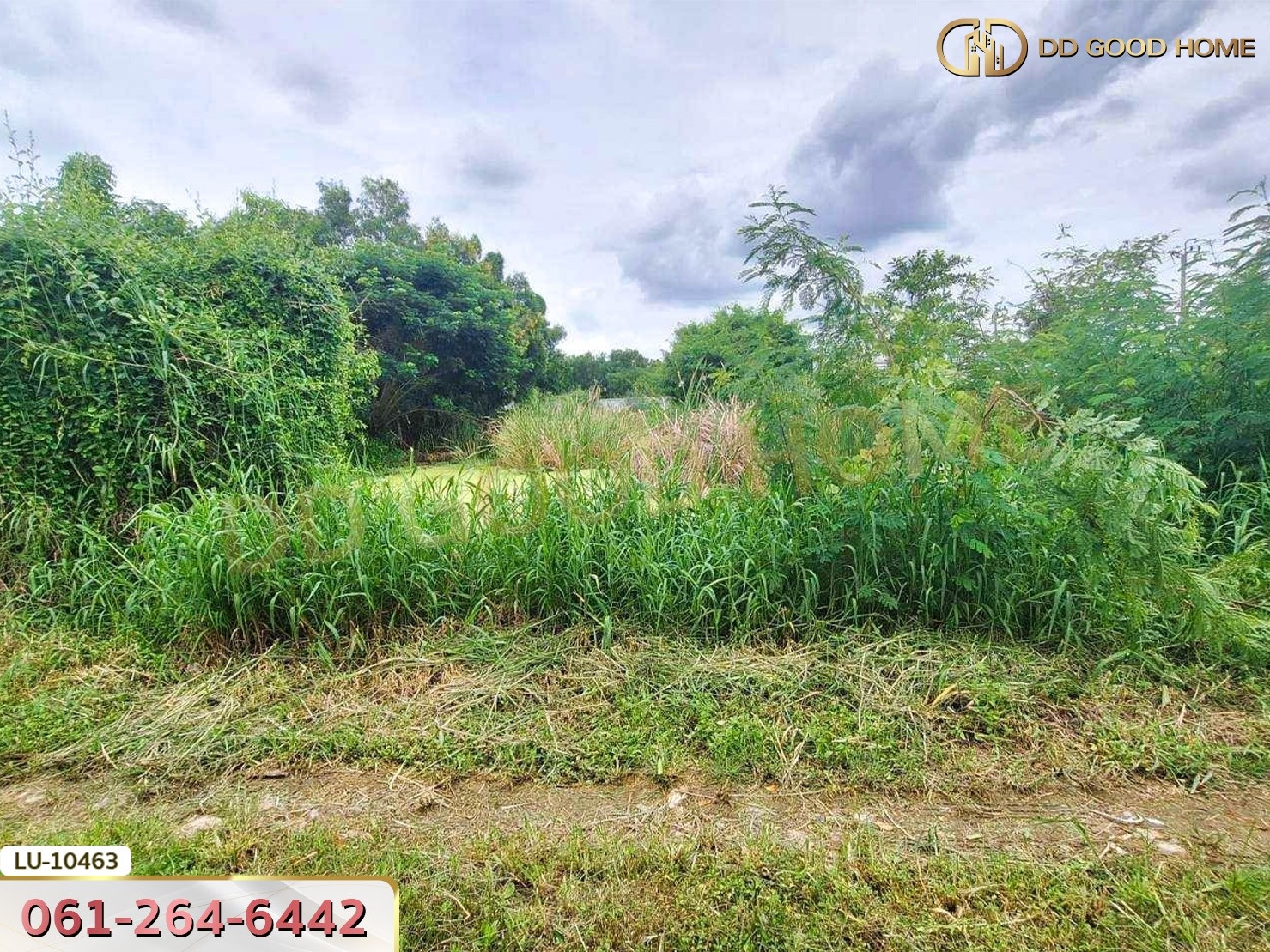 ที่ดินเปล่า 121 ตร.ว. ซอยร่วมมิตรพัฒนา แยก 6 บางเขน กรุงเทพ