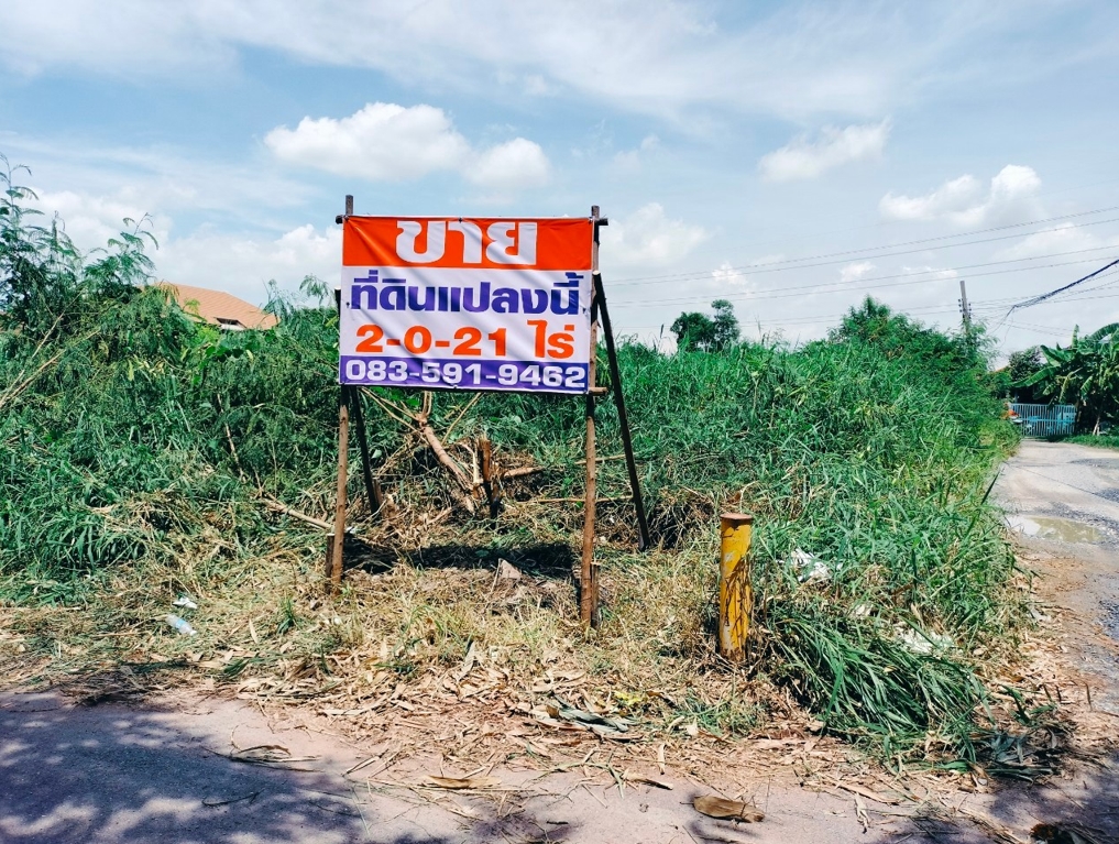 ที่ดิน 2 ไร่กว่า ใกล้เดอะมอลล์บางแค ขายต่ำกว่าราคาประเมิน