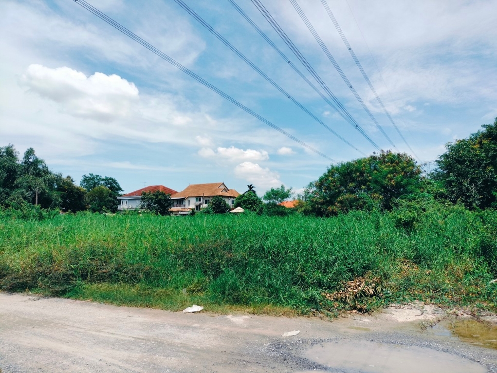 ที่ดิน 2 ไร่กว่า ใกล้เดอะมอลล์บางแค ขายต่ำกว่าราคาประเมิน