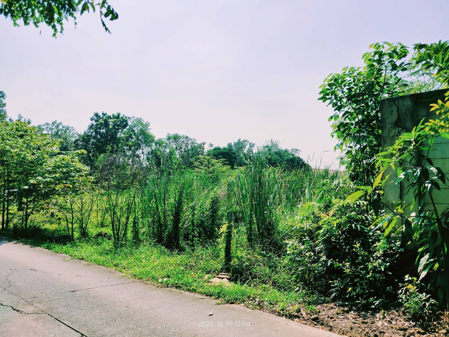 ขายที่ดินเปล่าทำเลดี ใกล้ถนนนครอินทร์-พระราม5 ซอยวัดตะเคียน บางกรวย นนทบุรี 