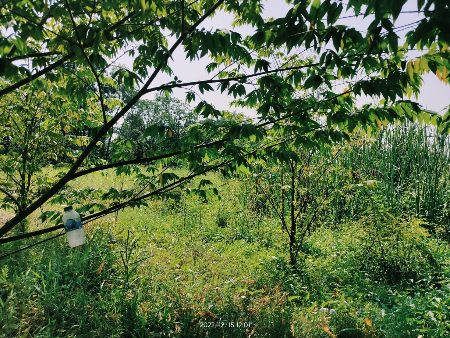 ขายที่ดินเปล่าทำเลดี ใกล้ถนนนครอินทร์-พระราม5 ซอยวัดตะเคียน บางกรวย นนทบุรี 