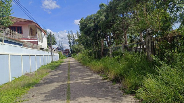 ขายด่วน! ที่ดิน ที่ดิน บางเดื่อ ใกล้ถนนราชพฤกษ์ ตัดใหม่ ปทุมธานี  8000000 BAHT.   น่า-อยู่