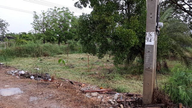 รหัส:  ด.0002 SALE ขาย ที่ดิน ที่ดิน ลำโพ  140 SQ.WA 2800000 บาท ไม่ไกลจาก 1. องค์การบริหารส่วนตำบลลำโพ 2. ที่ว่าารอำเภอบางบัวทอง ราคาคุ้มสุดเวอร์