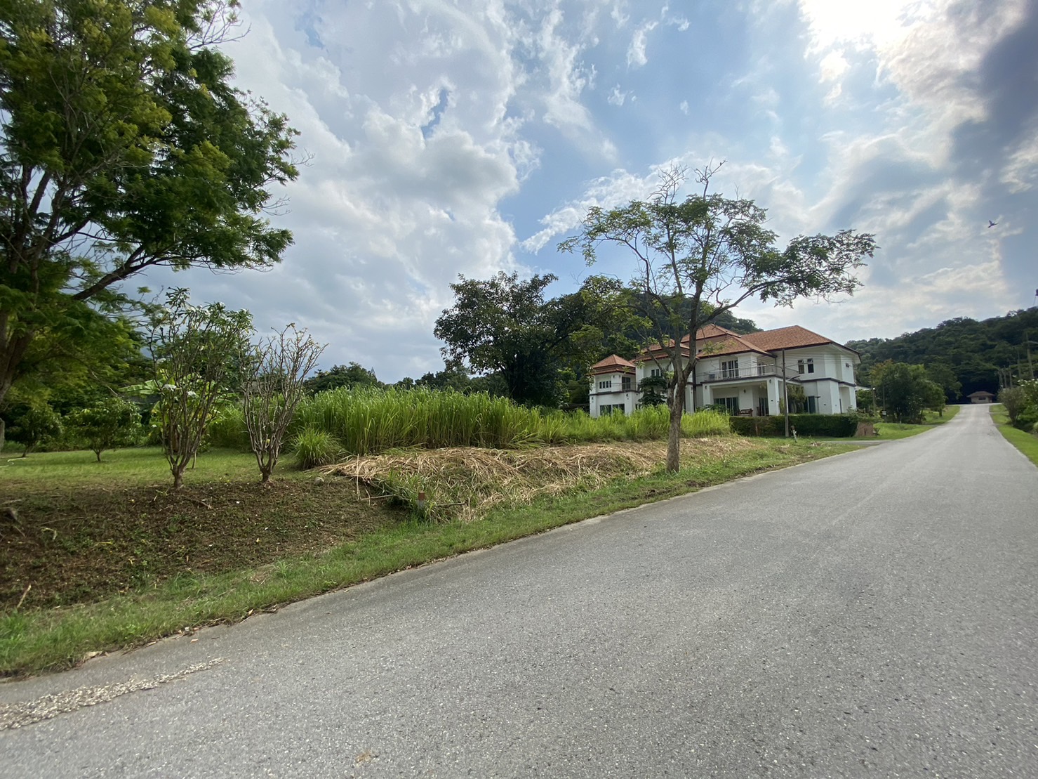 ขายที่ดิน156ตร.วในสนามกอล์ฟSir jame resort ( Forest Hillเดิม) อ.มวกเหล็ก สระบุรี แปลงมุม แถมMember สนามกอล์ฟฟรี