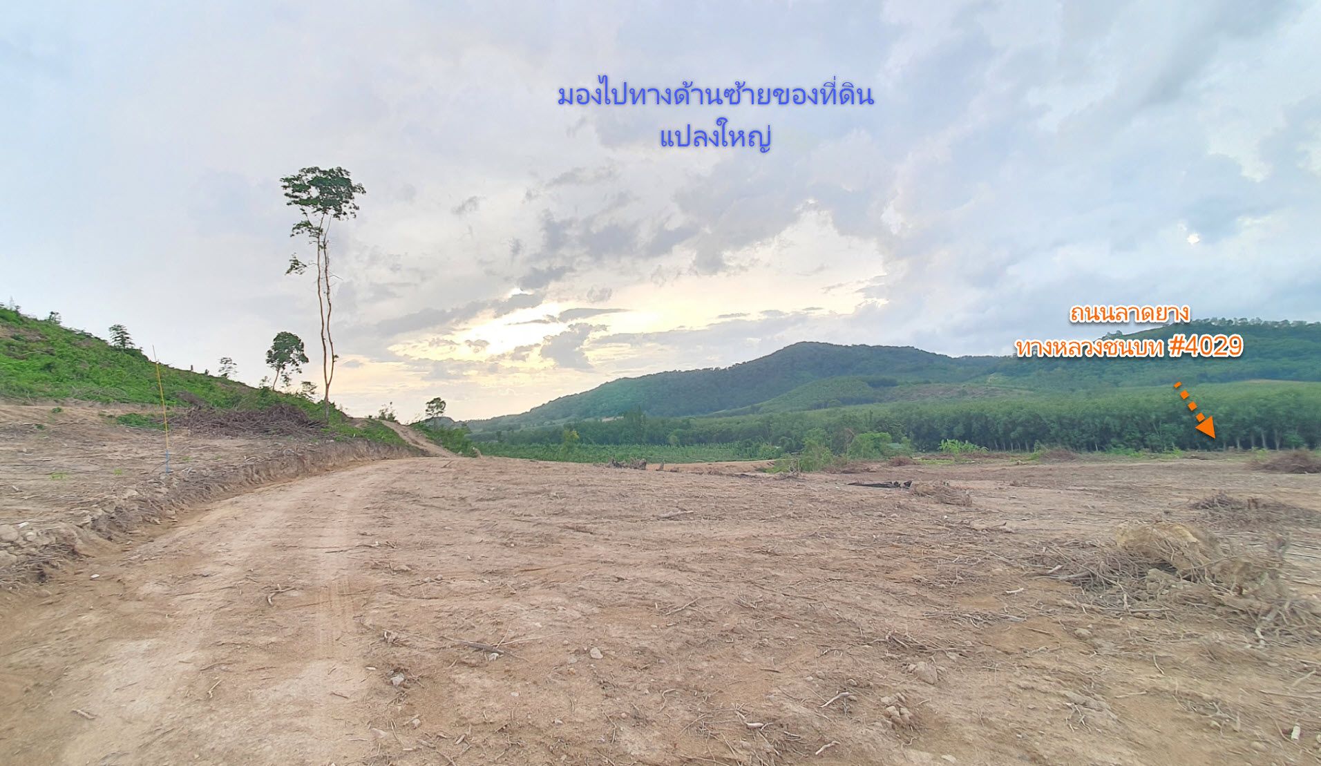 ขายที่ดินสวยติดถนนลาดยาง ปลวกแดง ระยอง ใกล้แยกปากแพรก