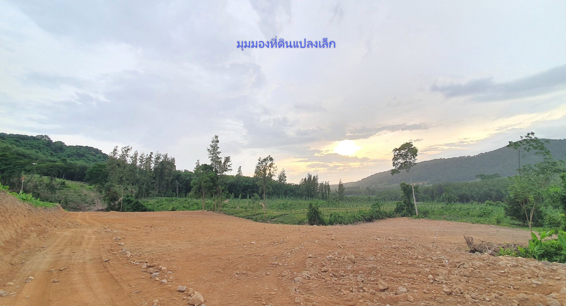 ขายที่ดินสวยติดถนนลาดยาง ปลวกแดง ระยอง ใกล้แยกปากแพรก