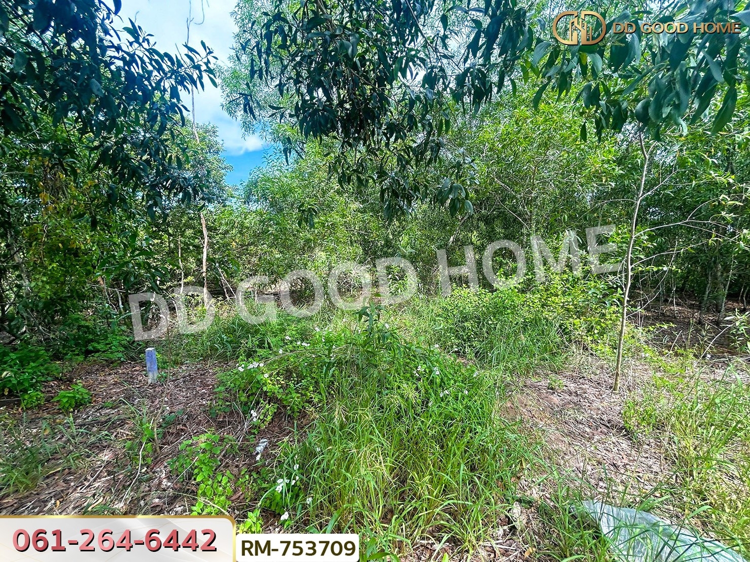 ที่ดินบ้านโพธิ์ 401 ตร.ว. โครงการสนามกอล์ฟบางปะกงริเวอร์ไซด์ ฉะเชิงเทรา