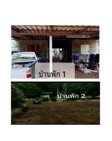 ขายที่ดิน พร้อมสวนผลไม้ต่างๆ เนื้อที่ 29-2-54 ไร่ อ.หนองม่วง ลพบุรี