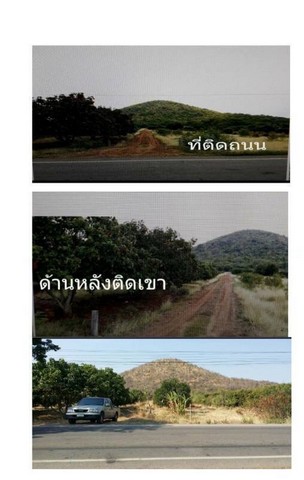 ขายที่ดิน พร้อมสวนผลไม้ต่างๆ เนื้อที่ 29-2-54 ไร่ อ.หนองม่วง ลพบุรี