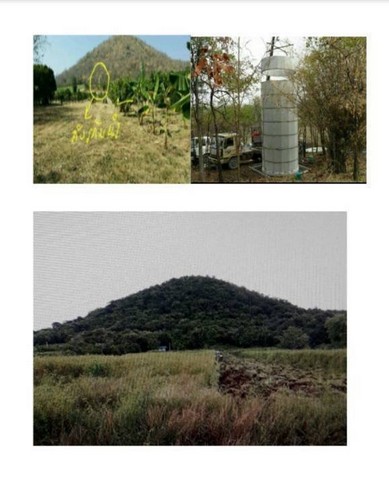 ขายที่ดิน พร้อมสวนผลไม้ต่างๆ เนื้อที่ 29-2-54 ไร่ อ.หนองม่วง ลพบุรี