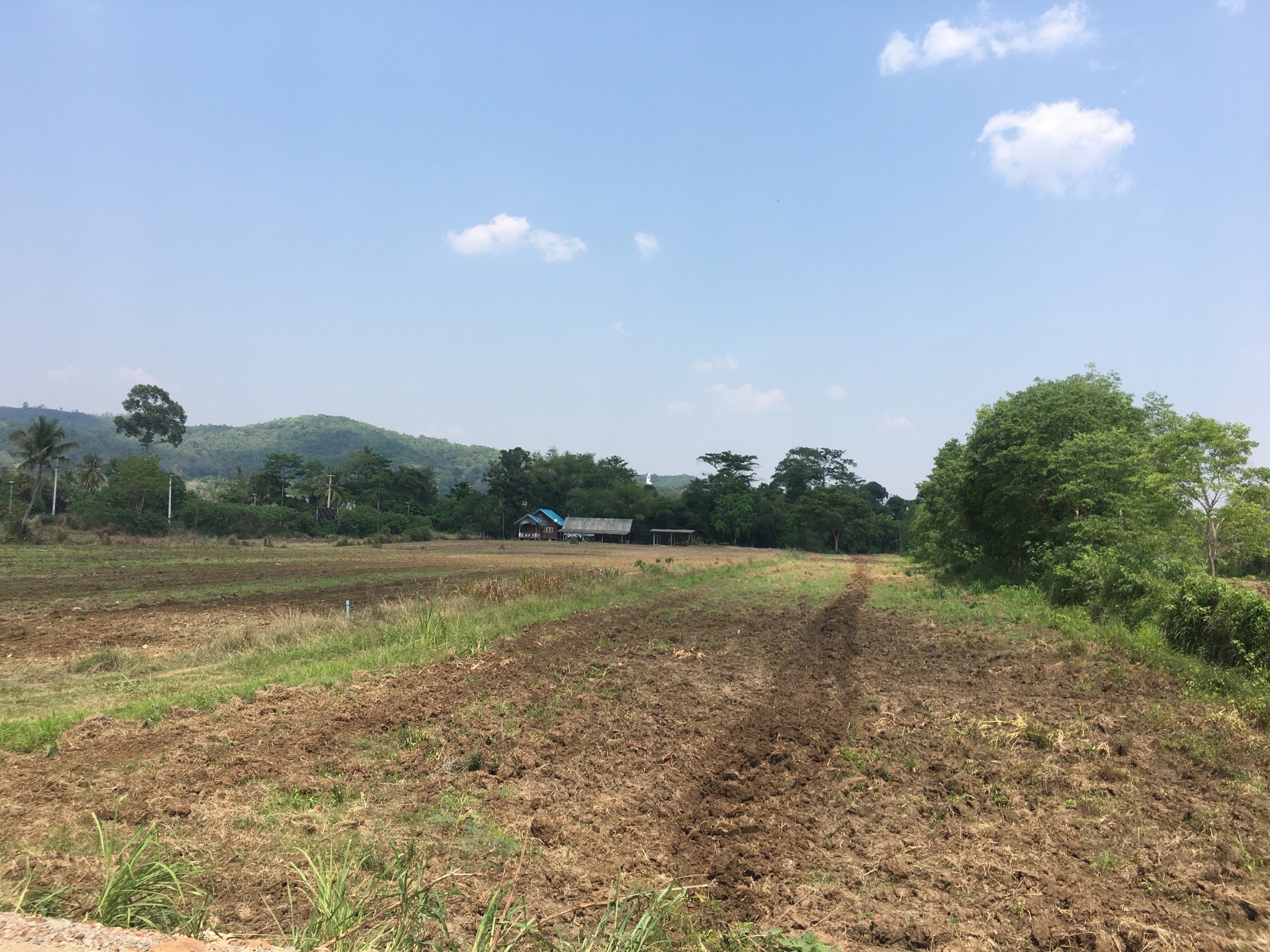 ขายที่ดินโครงการโคกหนองนาโมเดล Koknongna Modelสระน้ำใส หมูสี เขาใหญ่ ติดลำธาร