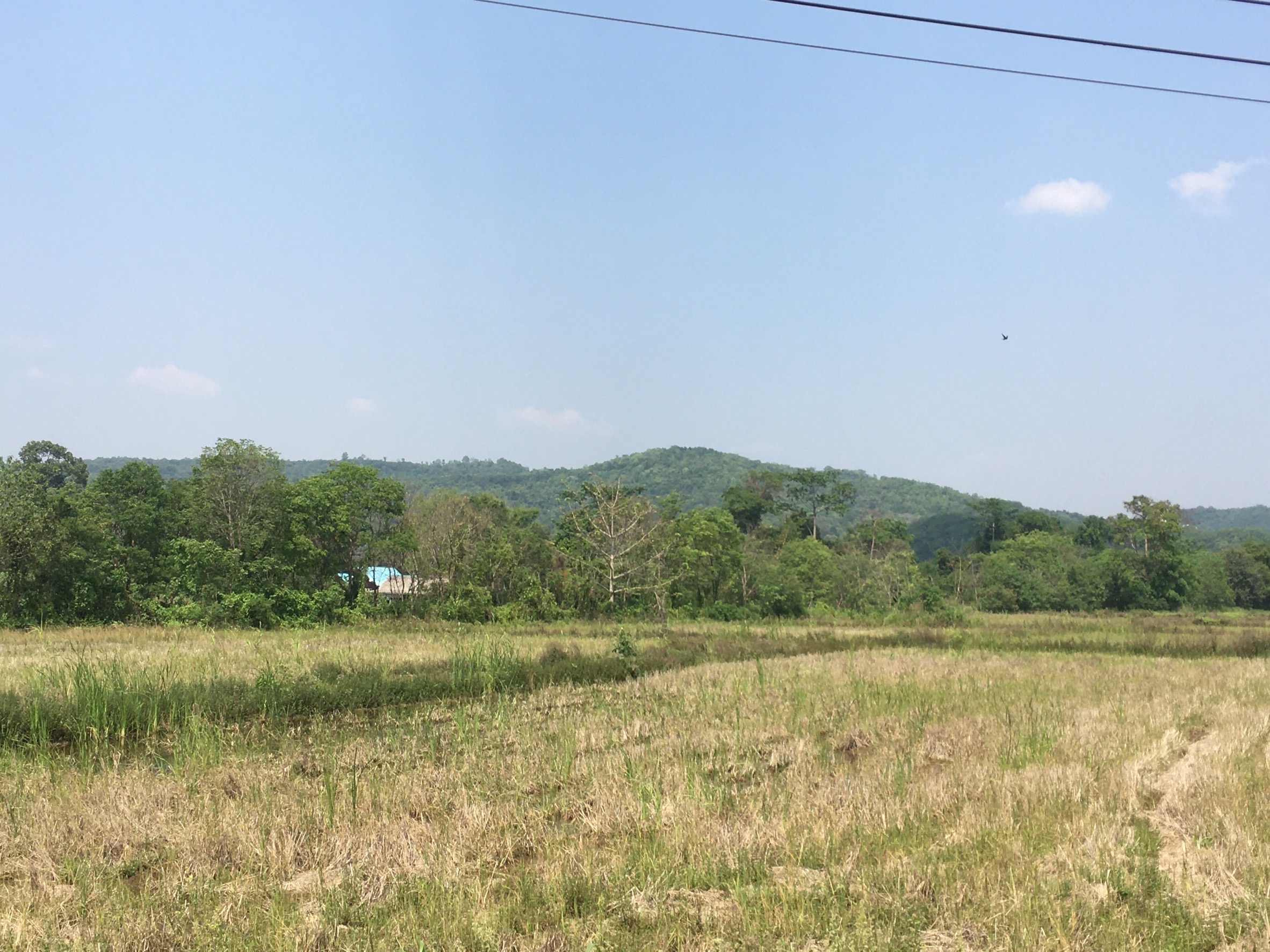 ขายที่ดินโครงการโคกหนองนาโมเดล Koknongna Modelสระน้ำใส หมูสี เขาใหญ่ ติดลำธาร