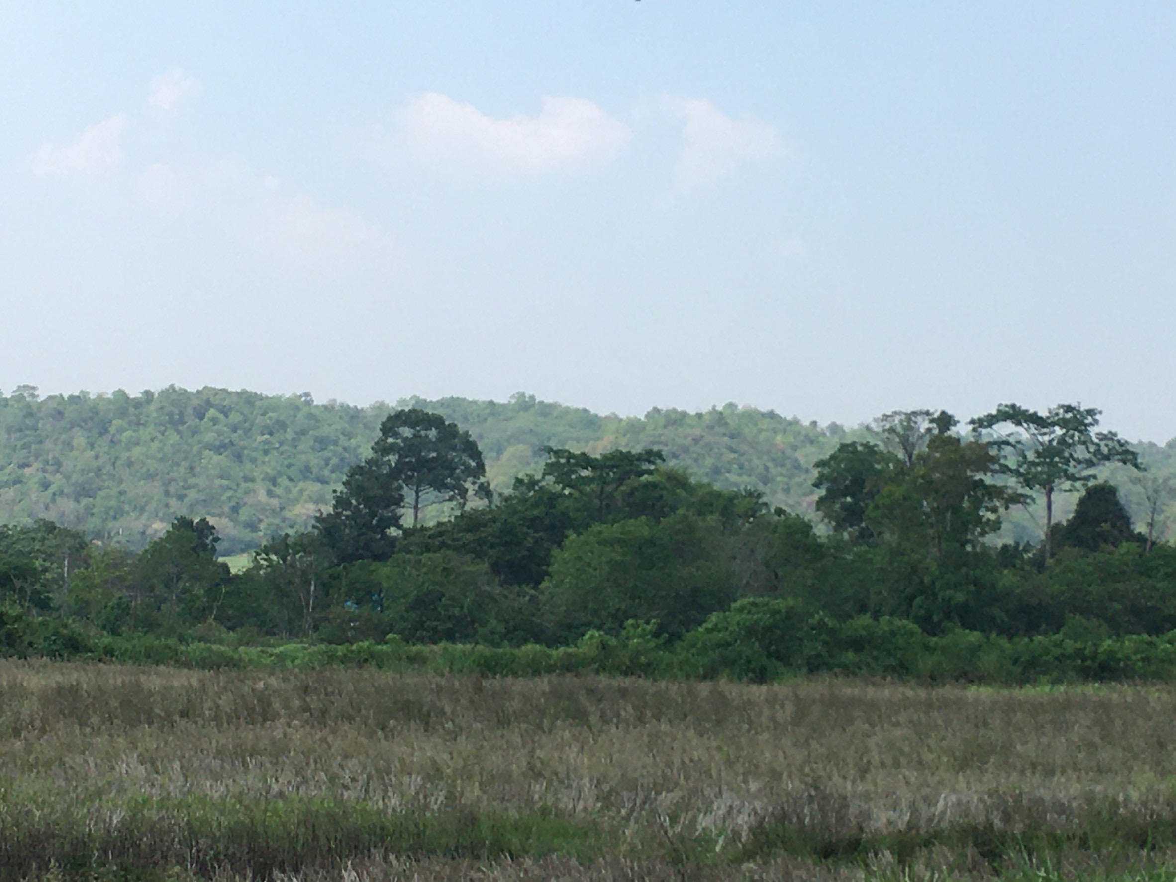 ขายที่ดินโครงการโคกหนองนาโมเดล Koknongna Modelสระน้ำใส หมูสี เขาใหญ่ ติดลำธาร