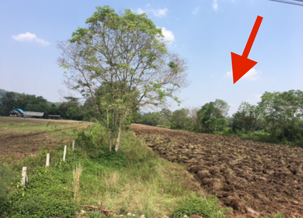 ขายที่ดินโครงการโคกหนองนาโมเดล Koknongna Modelสระน้ำใส หมูสี เขาใหญ่ ติดลำธาร