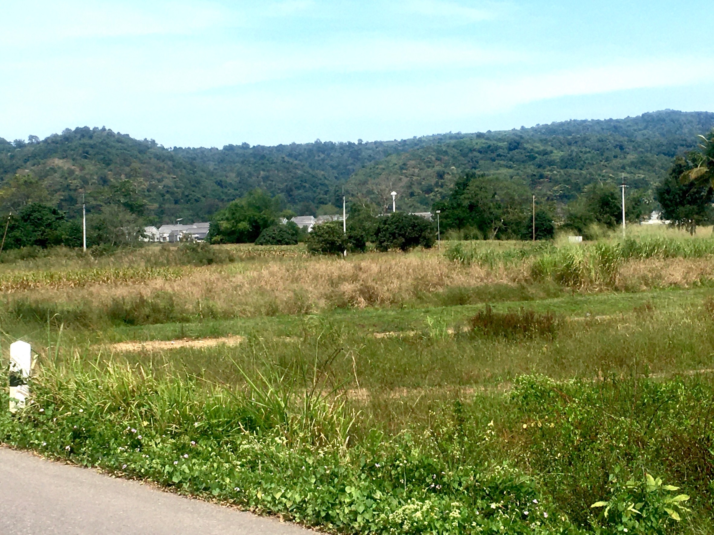 ขายที่ดินโครงการโคกหนองนาโมเดล Koknongna Modelสระน้ำใส หมูสี เขาใหญ่ ติดลำธาร