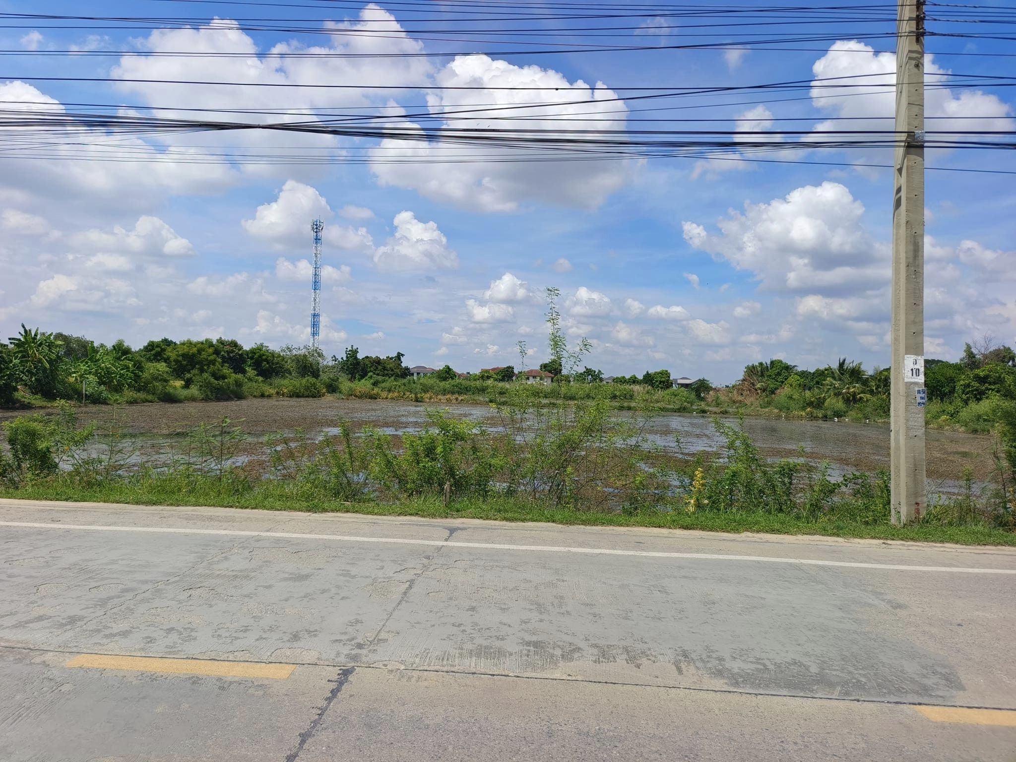 ขายที่ดินบางใหญ่ซิตี้ ตรงข้ามเซนทรัลเวสเกต #เทศบาลตำบลเสาธงหิน ติดหน้ากว้าง 65 เมตร ด้านหน้าติดถนน ด้านหลังติดคลอง 12ไร่ เหมาะทำทาวน์โฮม หมู่บ้านขนาดเล็ก  ขายไร่ละ 11 ล้าน 080-9169359 ก้อง