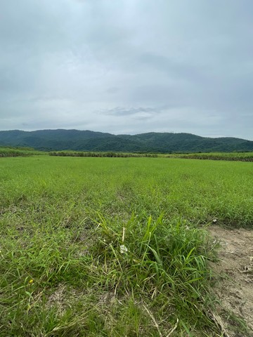 ขายที่ดิน 20 ไร่ แปลงสวย ติดถนนใหญ่ อ.บ้านบึง ชลบุรี 