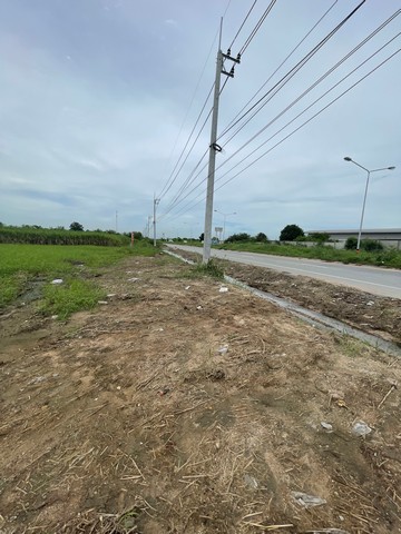 ขายที่ดิน 20 ไร่ แปลงสวย ติดถนนใหญ่ อ.บ้านบึง ชลบุรี 