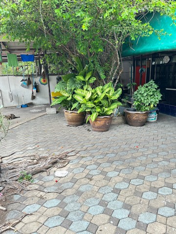 บ้านเดี่ยว 2 ชั้น 73 ตรว. หมู่บ้านเสรี พระราม 9 ซ.58‬  ฝั่งตรงข้ามเดอะไนน์พระราม9‬   ‭ZT230 