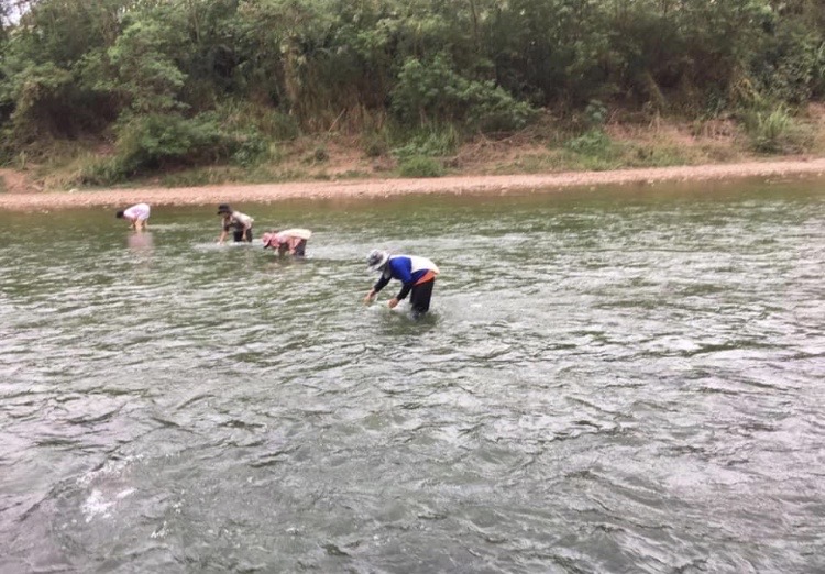 ขายที่ดินติดลำน้ำน่านวิวภูคา อำเภอทุ่งช้าง 3งาน ถ้าน้ำท่วมคืนเงิน จ. น่าน