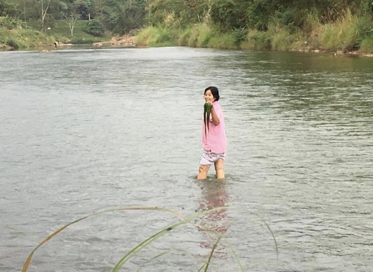 ขายที่ดินติดลำน้ำน่านวิวภูคา อำเภอทุ่งช้าง 3งาน ถ้าน้ำท่วมคืนเงิน จ. น่าน