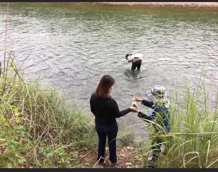 ขายที่ดินติดลำน้ำน่านวิวภูคา อำเภอทุ่งช้าง 3งาน ถ้าน้ำท่วมคืนเงิน จ. น่าน