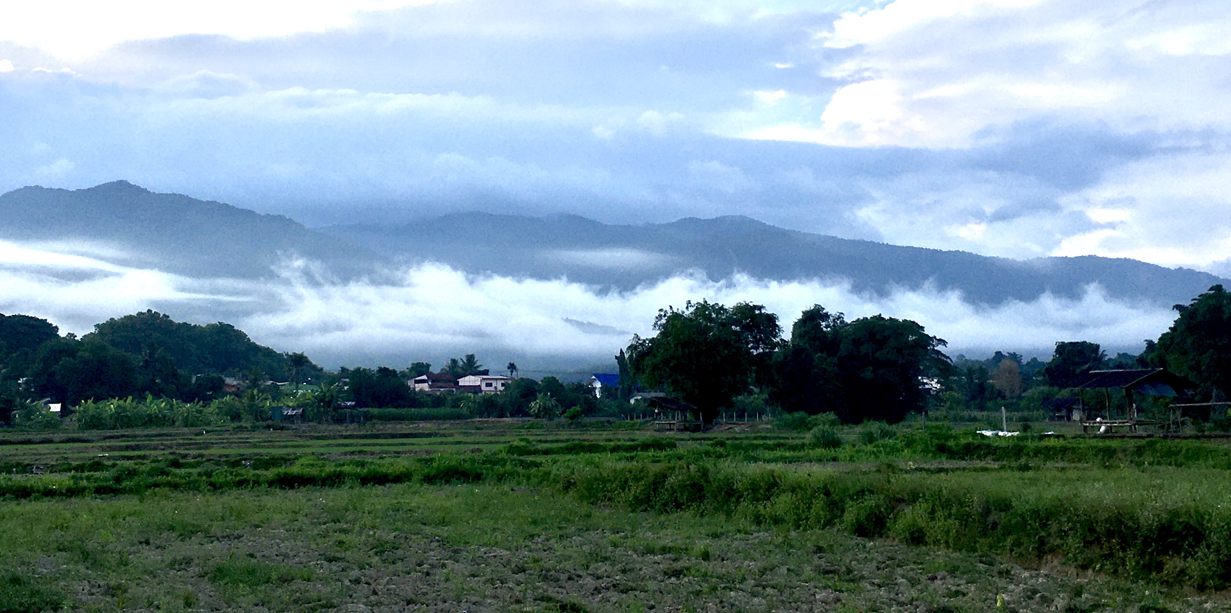 ขายที่ดินติดลำน้ำน่านวิวภูคา อำเภอทุ่งช้าง 3งาน ถ้าน้ำท่วมคืนเงิน จ. น่าน