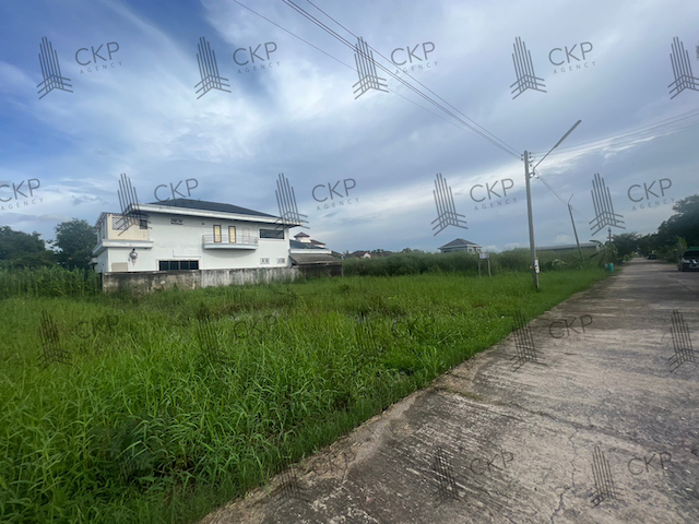 ขาย ที่ดินเปล่าคลอง2 ขนาด 202 ตร.วา. ต.ประชาธิปัตย์ อ.ธัญบุรี ปทุมธานี