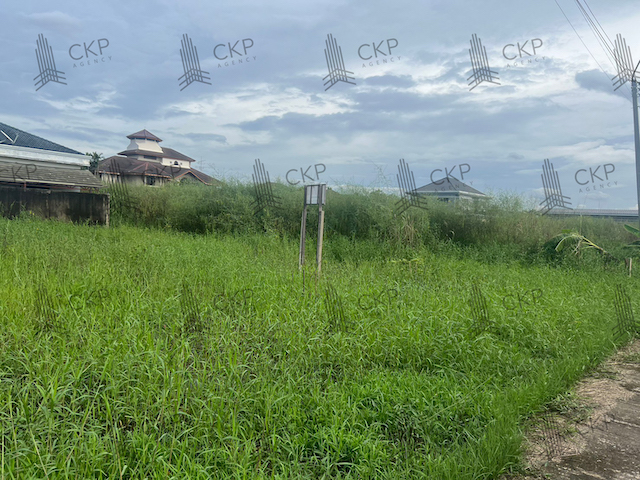 ขาย ที่ดินเปล่าคลอง2 ขนาด 202 ตร.วา. ต.ประชาธิปัตย์ อ.ธัญบุรี ปทุมธานี