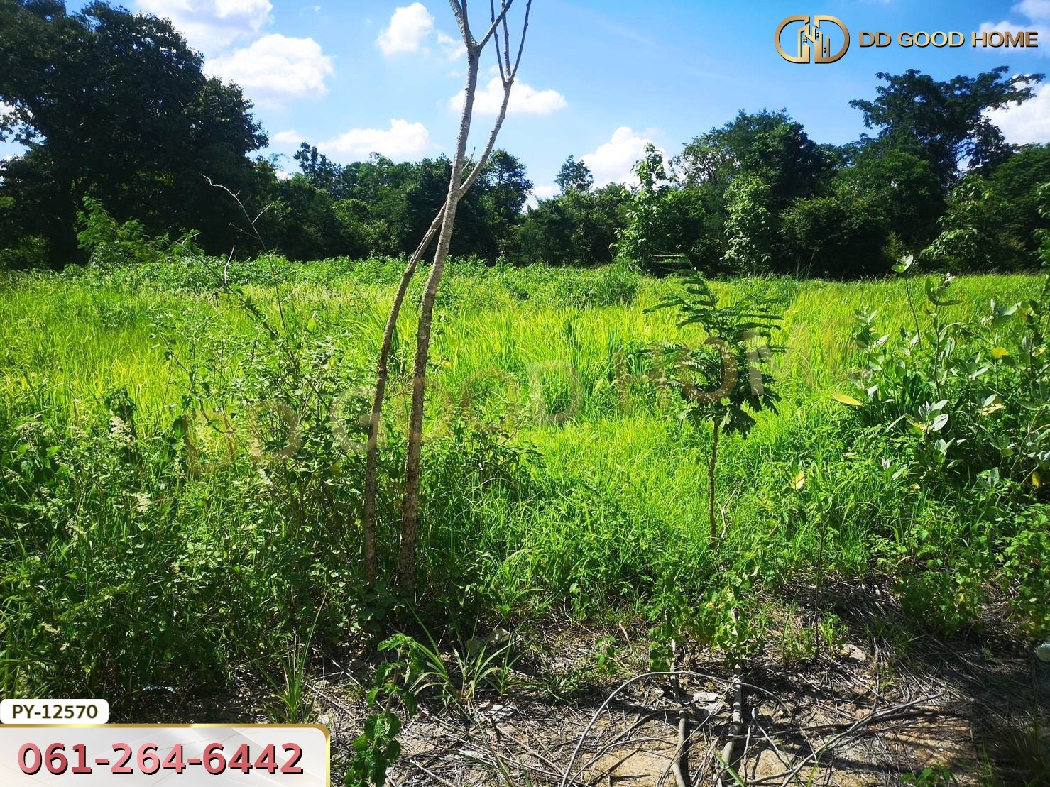ที่ดิน 310.3 ตร.ว.ใกล้ ถ.ราชสีมา-โชคชัย นครราชสีมา