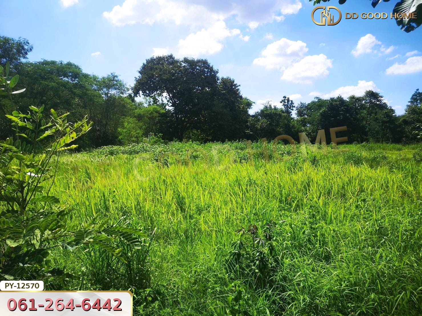 ที่ดิน 310.3 ตร.ว.ใกล้ ถ.ราชสีมา-โชคชัย นครราชสีมา