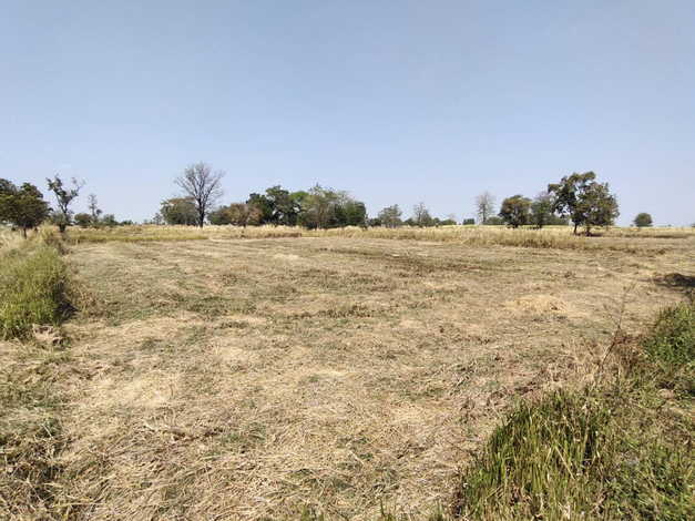 ขายที่ดิน ทำเลดี ต.ห้วยแถลง อ.ห้วยแถลง จ.นครราชสีมา (เจ้าของขายเอง)