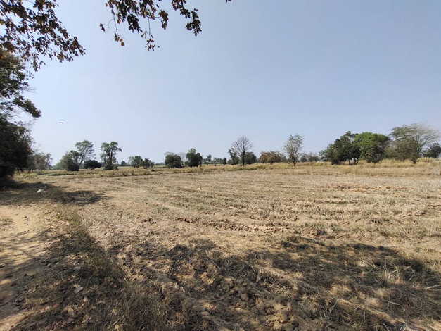 ขายที่ดิน ทำเลดี ต.ห้วยแถลง อ.ห้วยแถลง จ.นครราชสีมา (เจ้าของขายเอง)