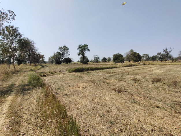 ขายที่ดิน ทำเลดี ต.ห้วยแถลง อ.ห้วยแถลง จ.นครราชสีมา (เจ้าของขายเอง)